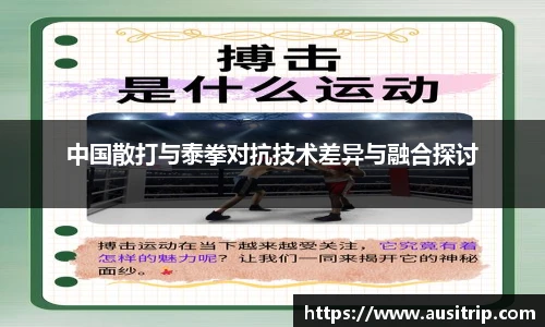 中国散打与泰拳对抗技术差异与融合探讨